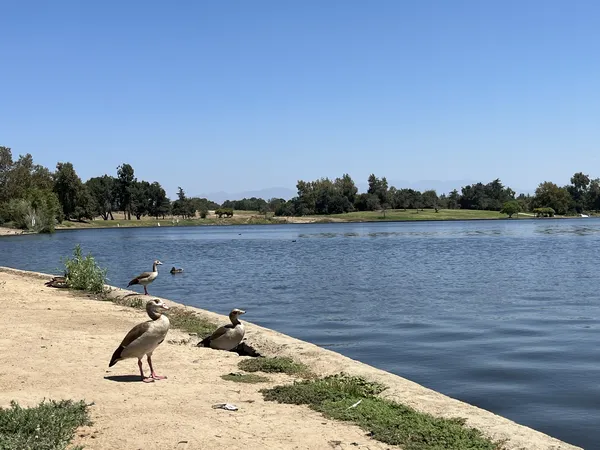 Lake Balboa waterfront, Lake Balboa CA