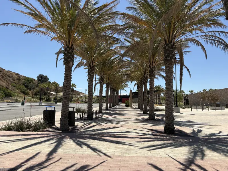 Palm tree-lined walkway at Boeckmann Park, Porter Ranch CA